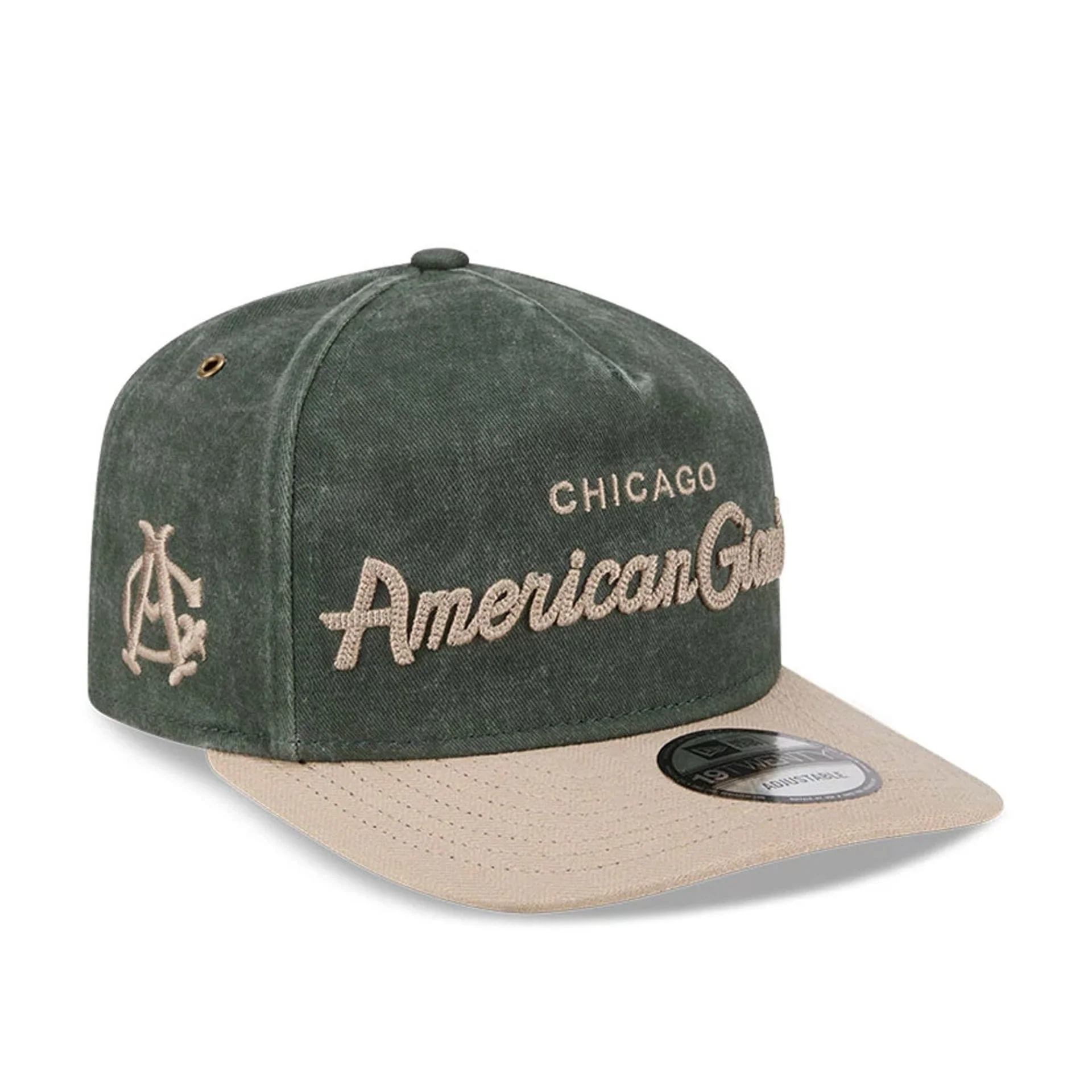 Chicago American Giants MLB Negro League Dark Green 19TWENTY Adjustable Cap