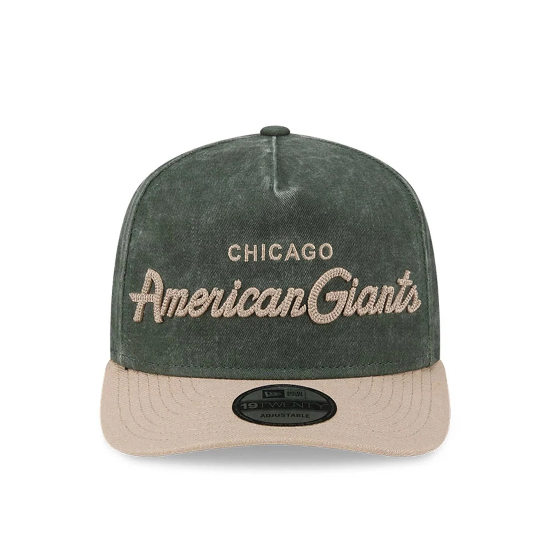Chicago American Giants MLB Negro League Dark Green 19TWENTY Adjustable Cap - Image 3