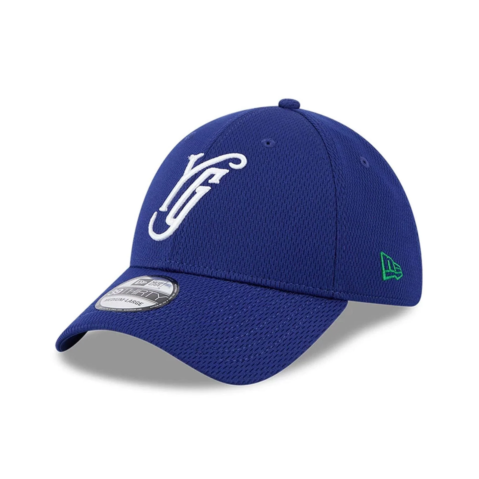 Yard Goats MiLB Batting Practice Dark Blue 39THIRTY Stretch Fit Cap